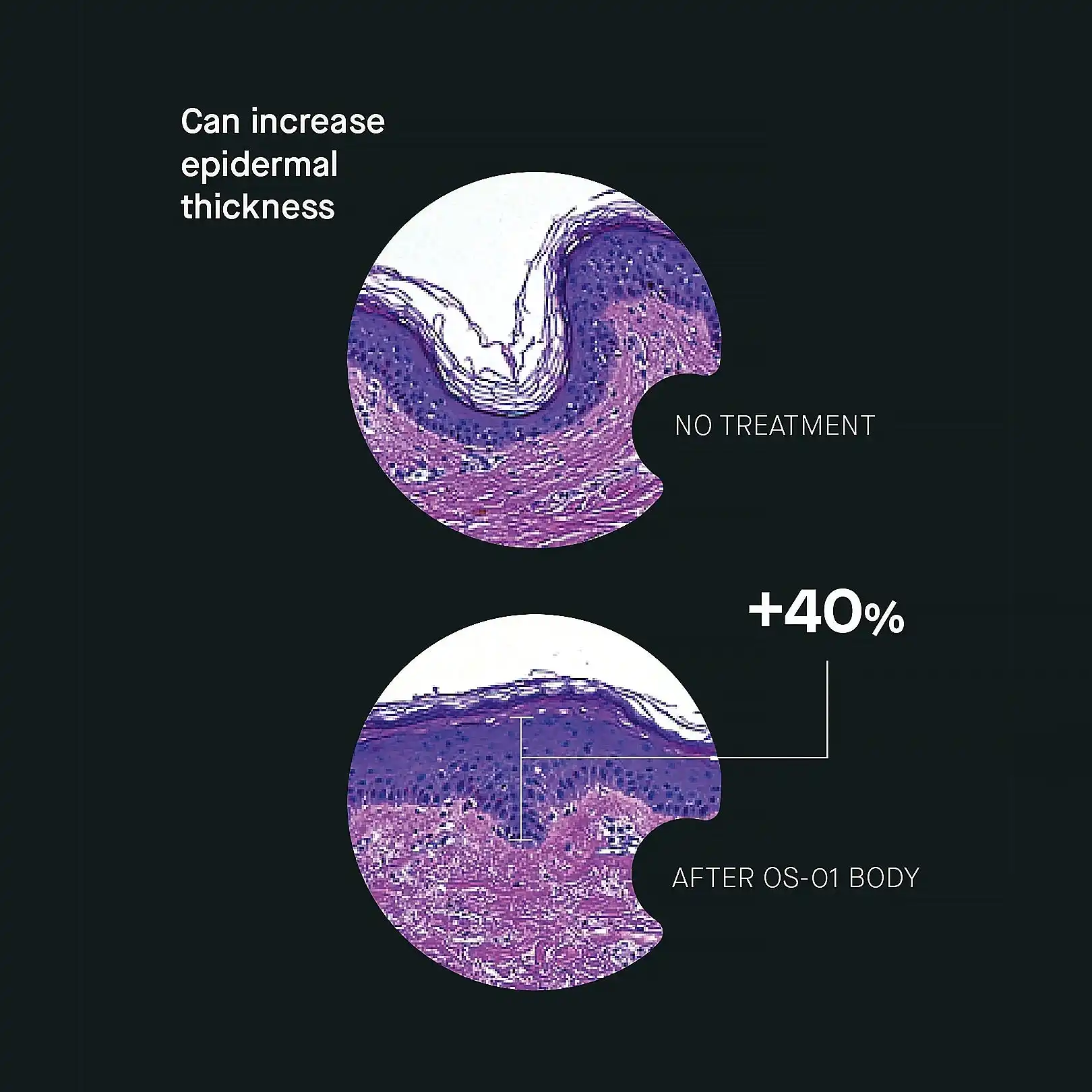 Complete Skin Longevity Regimen - Image 7